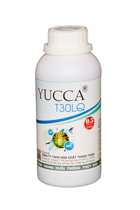 YUCCA T30LQ