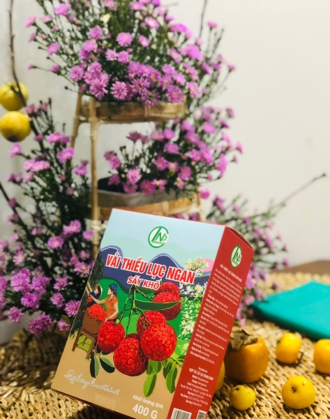 Hộp giấy thực phẩm, dược phẩm