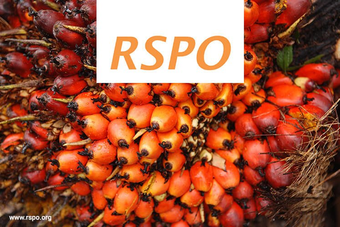 Tiêu chuẩn RSPO