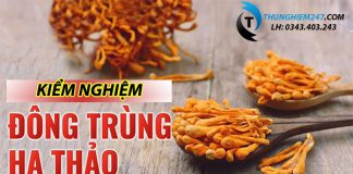 Kiểm nghiệm Đông trùng hạ thảo