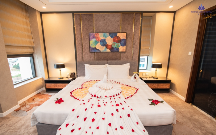 Lotus Suite 2