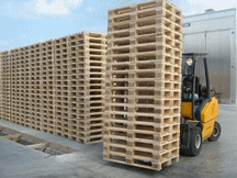 Pallet Gỗ Sơn Thành Phát - Công Ty TNHH DV TM SX Sơn Thành Phát