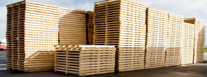 Pallet gỗ 2 hướng nâng