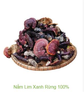 Sản phẩm