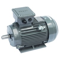 Động cơ điện motor TECO AESV1S-175