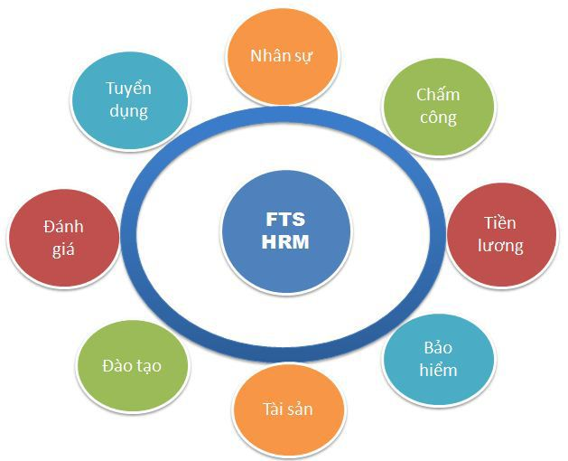 Phần mềm quản trị nhân sự tiền lương