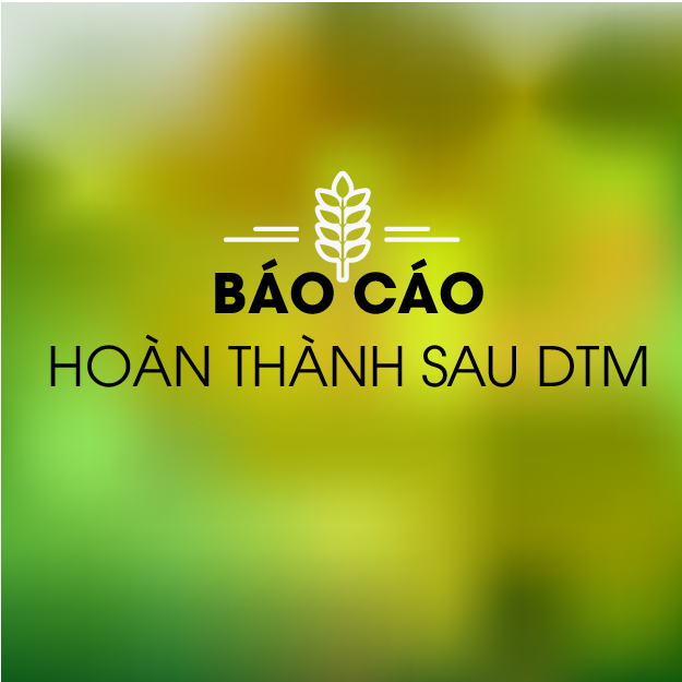 Báo cáo hoàn thành sau DTM