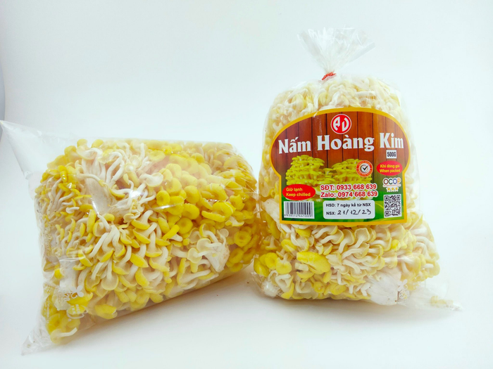 Nấm hoàng kim