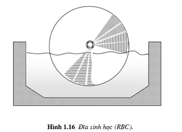 Lọc sinh học RBC