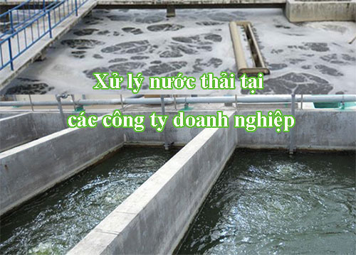 Xử lý nước thải công ty