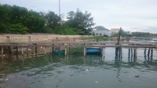 Hồ xả thải vào nguồn nước