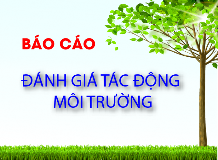 Báo cáo đánh giá tác động môi trường