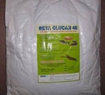 Beta Glucan