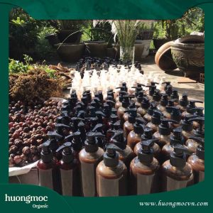 Gia công dầu gội bồ kết