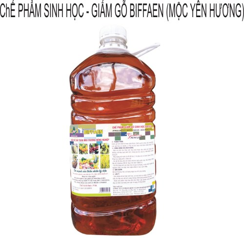 Giấm gỗ Bifaen