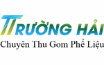 Phế Liệu Trường Hải - Công Ty Môi Trường Và Phế Liệu Trường Hải