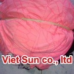 Vải lau gỗ 2 lớp