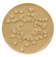 TSC (Tryptose Sulfite Cycloserine) agar (base)