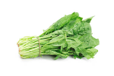 Cải bó xôi
