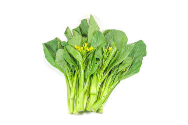 Cải ngồng
