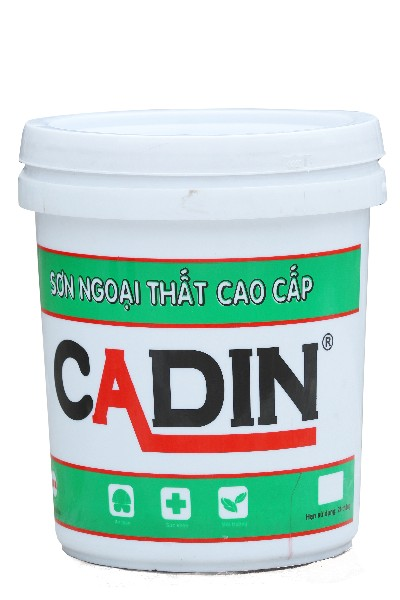Sơn