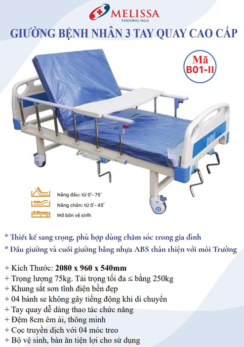 Giường bệnh nhân 3 tay quay cao cấp kèm bô vệ sinh