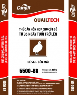 Thức ăn cho cút