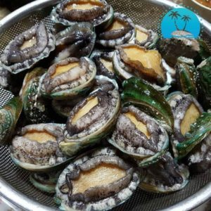 Bào ngư Hàn Quốc