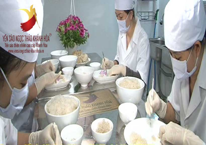 Sơ chế tổ Yến - Ngọc Thảo Khánh Hòa