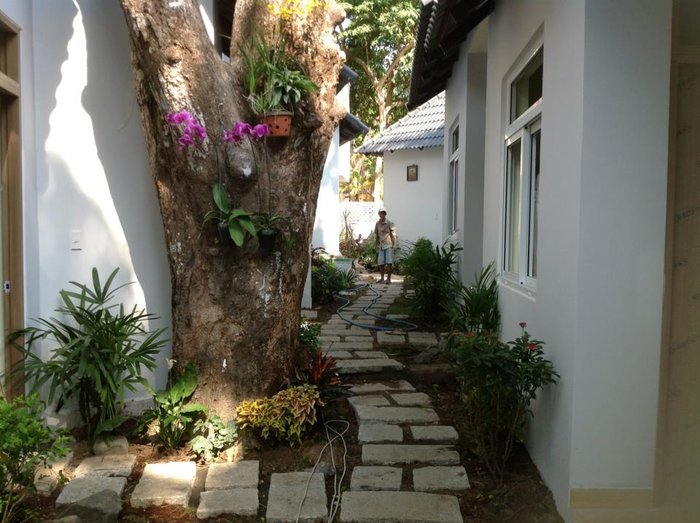 Dự án đã và đang thi công