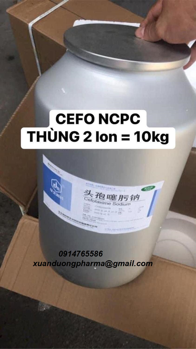 Kháng sinh thủy sản chất lượng cao Cefotaxime NCPC 98%