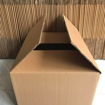 Thùng carton, thùng giấy