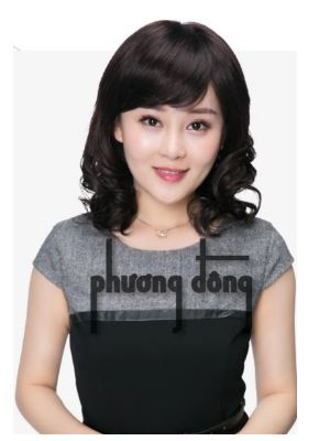 Tóc giả nữ trung niên TN08