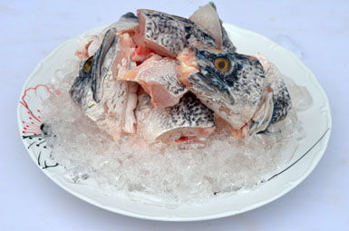 Đầu Cá Lóc Bông