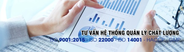 Tư vấn hệ thống quản lý quốc tế