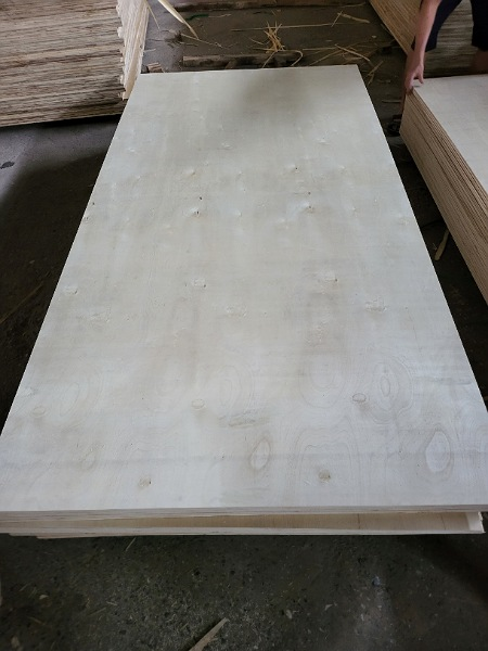 Ván ép Plywood lớp B/C