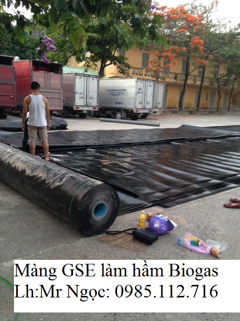 Màng chống thấm HDPE