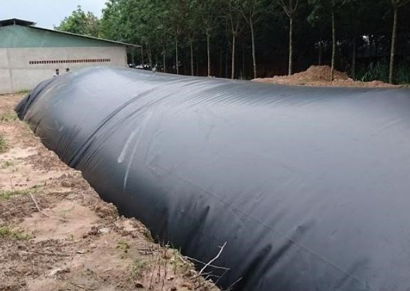 Màng chống thấm HDPE