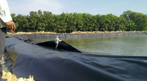Màng chống thấm HDPE