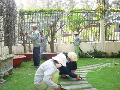 Chăm sóc cảnh quan