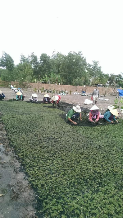 Dịch vụ