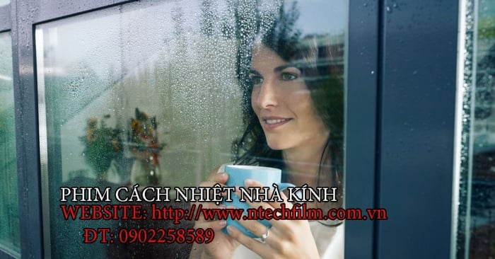 Phim cách nhiệt nhà kính