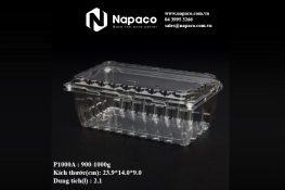 Hộp nhựa định hình