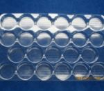 Khay nhựa định hình PET