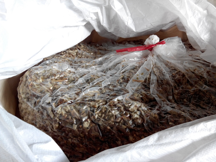 Bao jumbo đóng bắp ủ chua