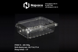 Hộp nhựa định hình