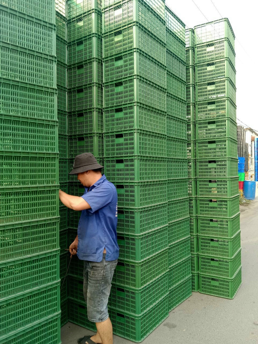 Pallet nhựa