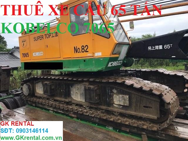 Xe cẩu xích 65 tấn