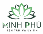 Hạt Nhựa Minh Phú - Công Ty Cổ Phần Sản Xuất Đầu Tư Thương Mại Quốc Tế Minh Phú