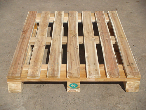 Pallet kho 100x120x16 cm